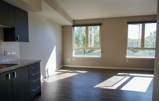 Studio, 1 bath, $1,285, Unit 305