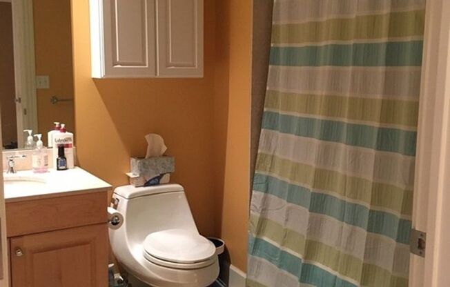 JUNE 1 - renovated 1 bedroom condo in Beacon Hill