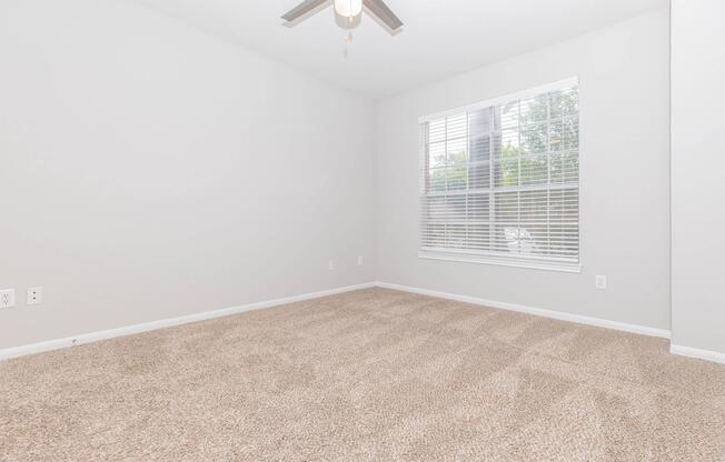 1 bed, 1 bath, 822 sqft, $1,335