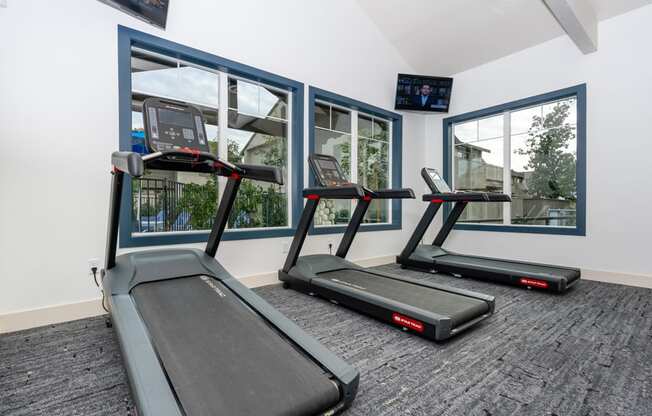 treadmills in front of a window in a gym