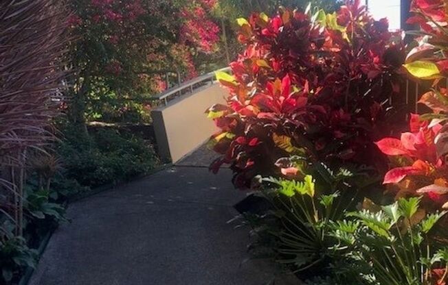 Studio, 1 bath, $1,550, Unit # #A 902