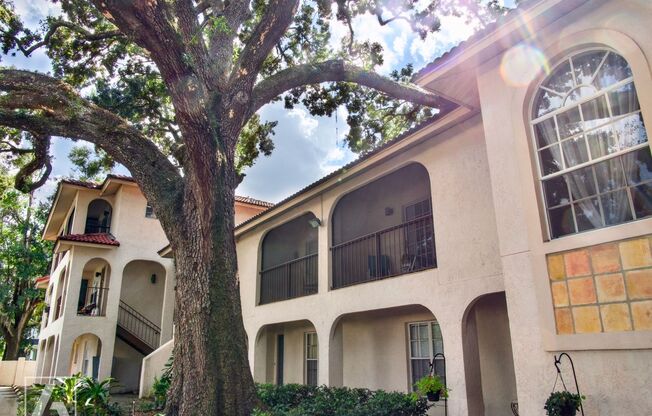 611 E. Amelia Street