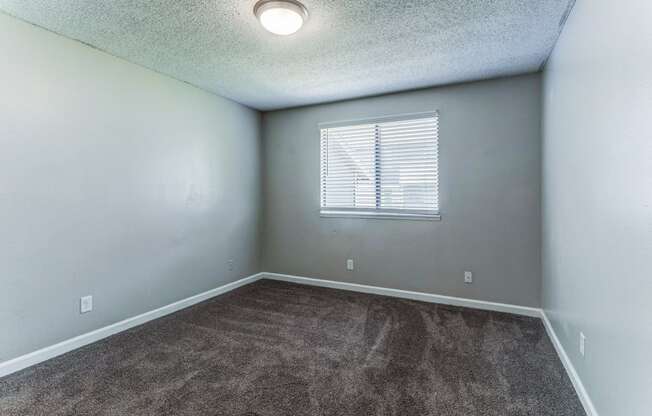 Empty room with carpet and a window  at Union Heights Apartments, Colorado Springs, CO