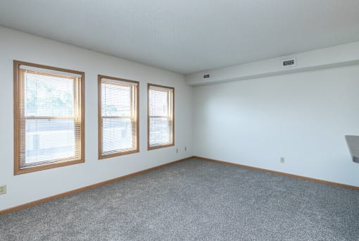 A room with a grey carpet and three windows.
