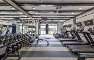 a gym with rows of cardio equipment and windows