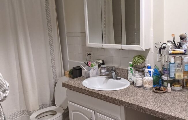 1 bed, 1 bath, 570 sqft, $3,200, Unit 509