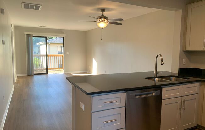 2 Bedroom 2 Bath Completely Completely Renovated Park Place Condo