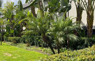 Olivewood Apartments