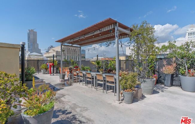 Studio, 1 bath, 790 sqft, $2,200, Unit 204