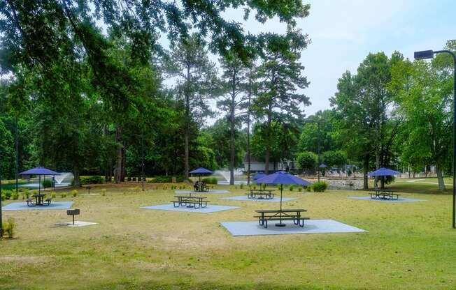 a large grassy area with picnic tables and umbrellas