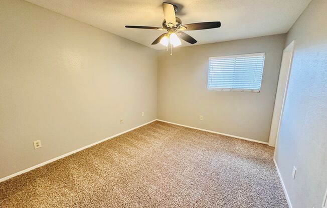 Studio, 1 bath, 500 sqft, $795, Unit 204