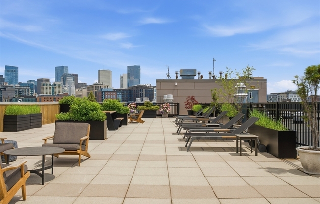 1 bed, 1 bath, 917 sqft, $4,500, Unit 414