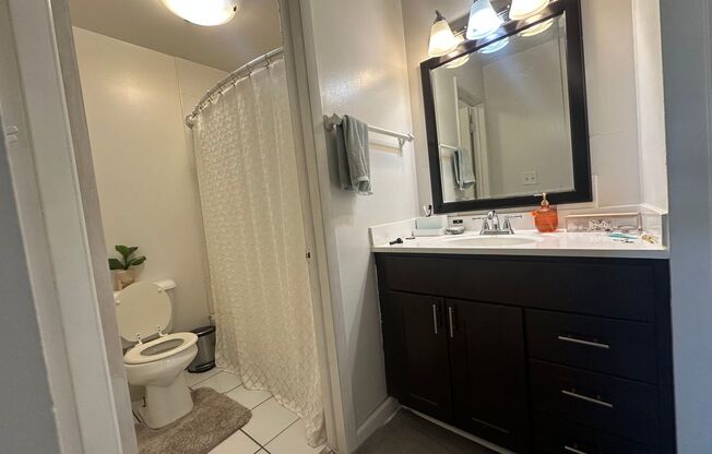 1 bed, 1 bath, $1,195, Unit 309