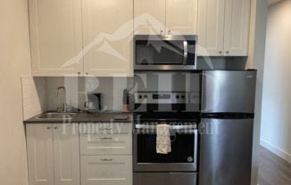 FURNISHED 1 BEDROOM 1 BATH APARTMENT  - BREMERTON