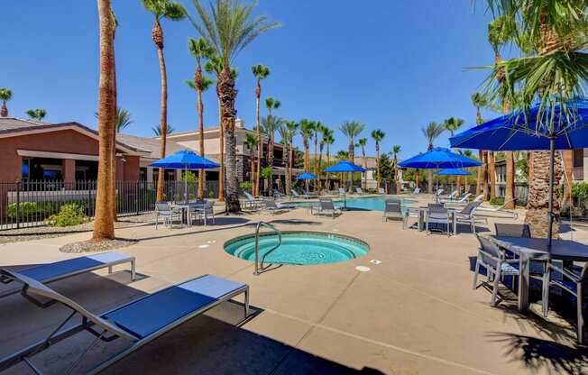 A pool area with a blue umbrella and a palm tree.