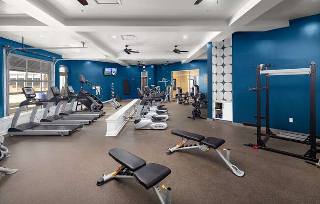 a gym with cardio equipment and weights on the floor and blue walls