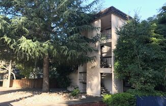 1 bed, 1 bath, $2,350, Unit 6