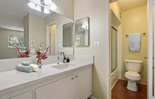 Single vanity area, Bathroom with shower hot tub combo on the right