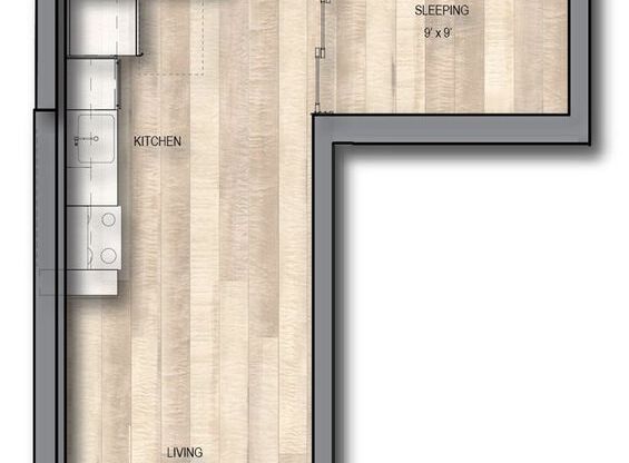 1 bed, 1 bath, 509 sqft, $2,100, Unit Unit 305