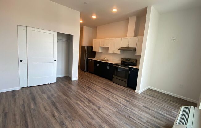 Studio, 1 bath, 391 sqft, $1,300, Unit 309