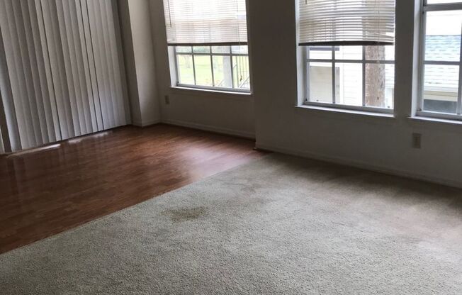2/2 in Tradewinds