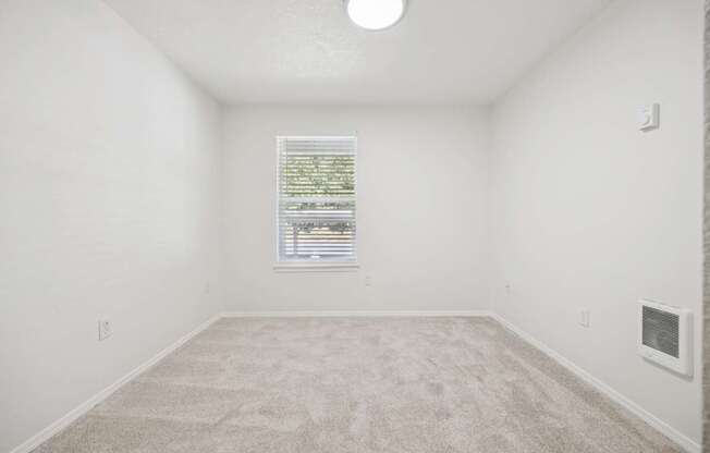 A room with a carpeted floor and a window with blinds.