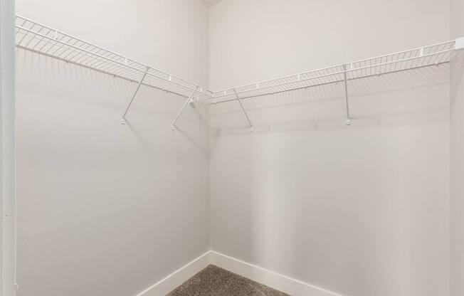 A white closet with a carpeted floor and a white wall.