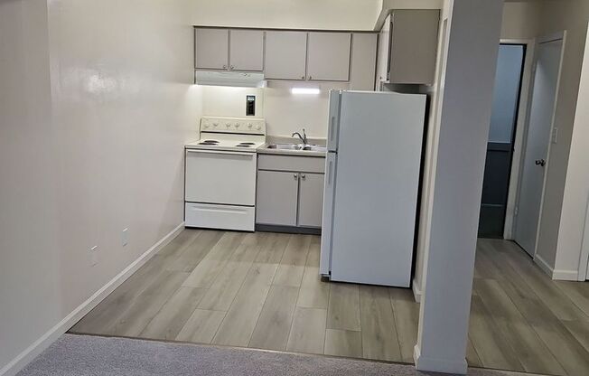 1 bed, 1 bath, 504 sqft, $989, Unit 311