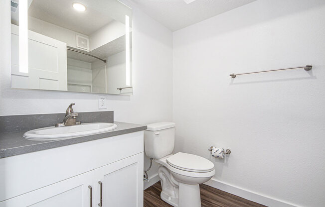 Master Bath at The Crossings Apartments, Grand Rapids, Michigan