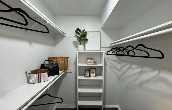 2 beds, 2 baths, 1,006 sqft, $995, Unit 100