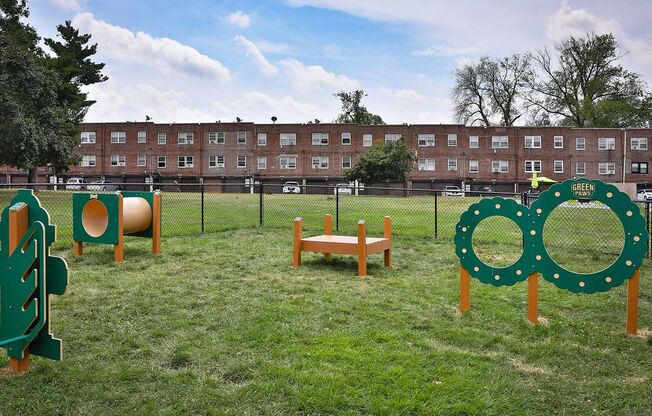 Dog Park