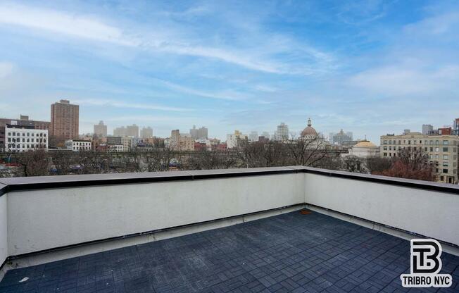 2 beds, 2 baths, $8,000, Unit 1B