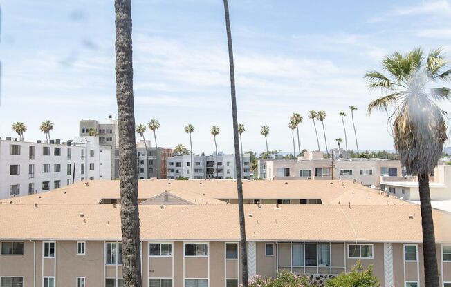 Studio, 1 bath, 500 sqft, $1,395, Unit 206