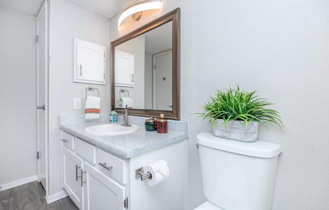 a kitchen with a sink and a mirror