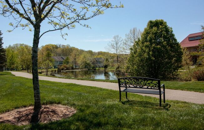 Meadow Creek