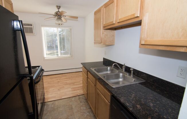 1 bed, 1 bath, $1,150