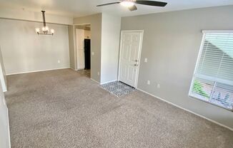 1 bed, 1 bath, $1,450