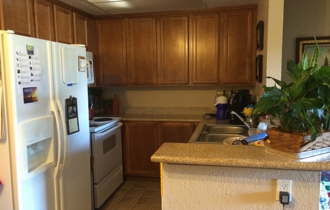 1 bed, 1 bath, $1,999, Unit # 114