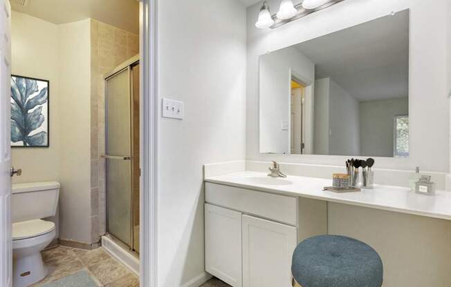 Bathroom With Adequate Storage at The Greens at Columbia, Maryland, 21044