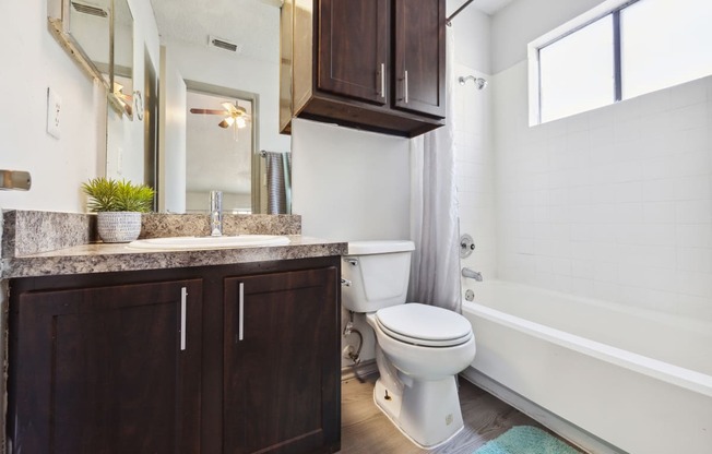 a bathroom with a toilet and a sink and a bath tub