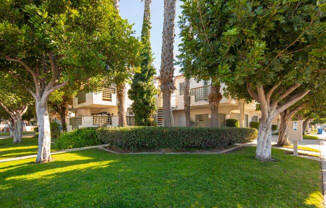 255 Ash Avenue