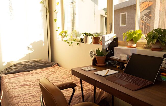 Studio, 1 bath, 261 sqft, $998, Unit 309