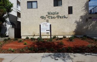 Senza Maple LLC