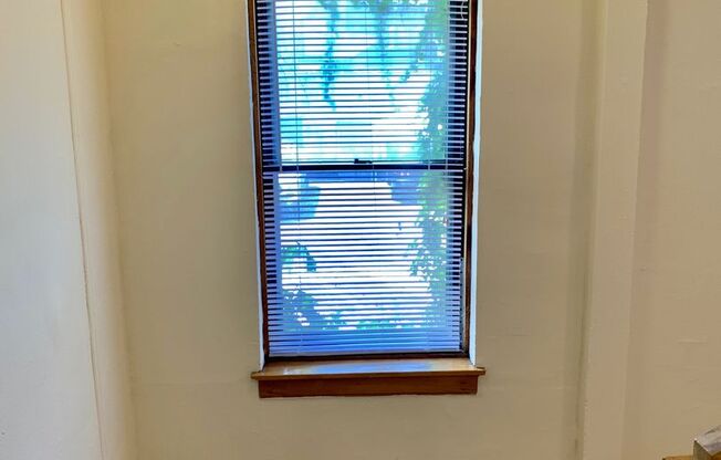 Studio, 1 bath, 300 sqft, $1,535, Unit 644-206