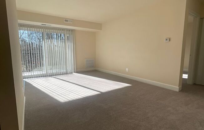 1 bed, 1 bath, 745 sqft, $1,900, Unit 14235 #203
