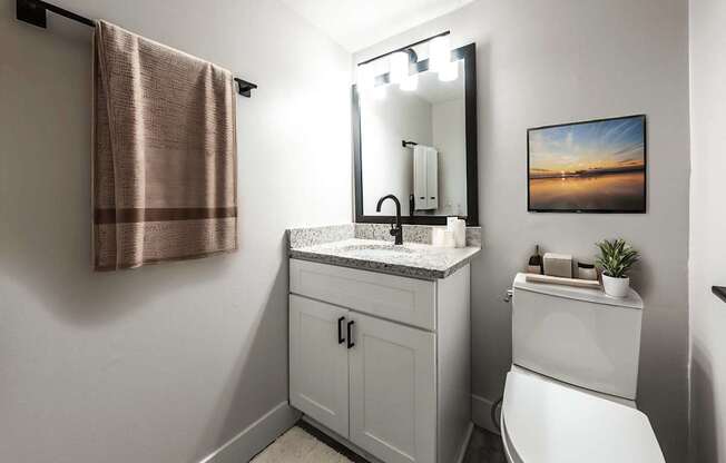 A bathroom with a white toilet, a sink with a marble countertop, a mirror, a towel rack, and a framed picture on the wall.