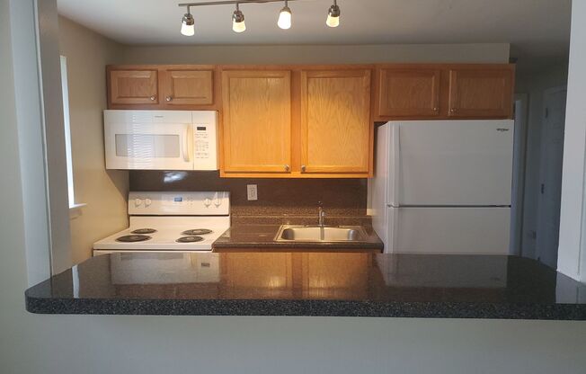 1 bed, 1 bath, 550 sqft, $1,250, Unit H04