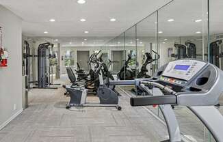 A gym with treadmills, elliptical machines and other cardio equipment.
