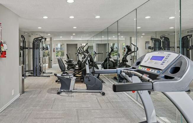 A gym with treadmills, elliptical machines and other cardio equipment.