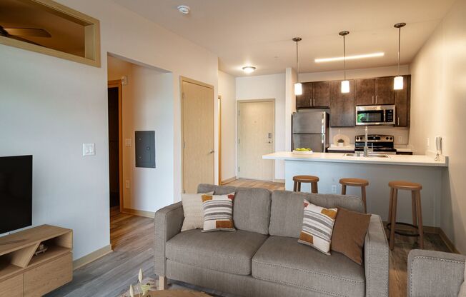 Studio, 1 bath, 510 sqft, $1,365, Unit 319